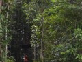 Tn DSC 3958